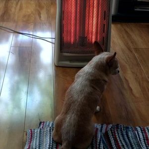 Meet your Posher, Masey